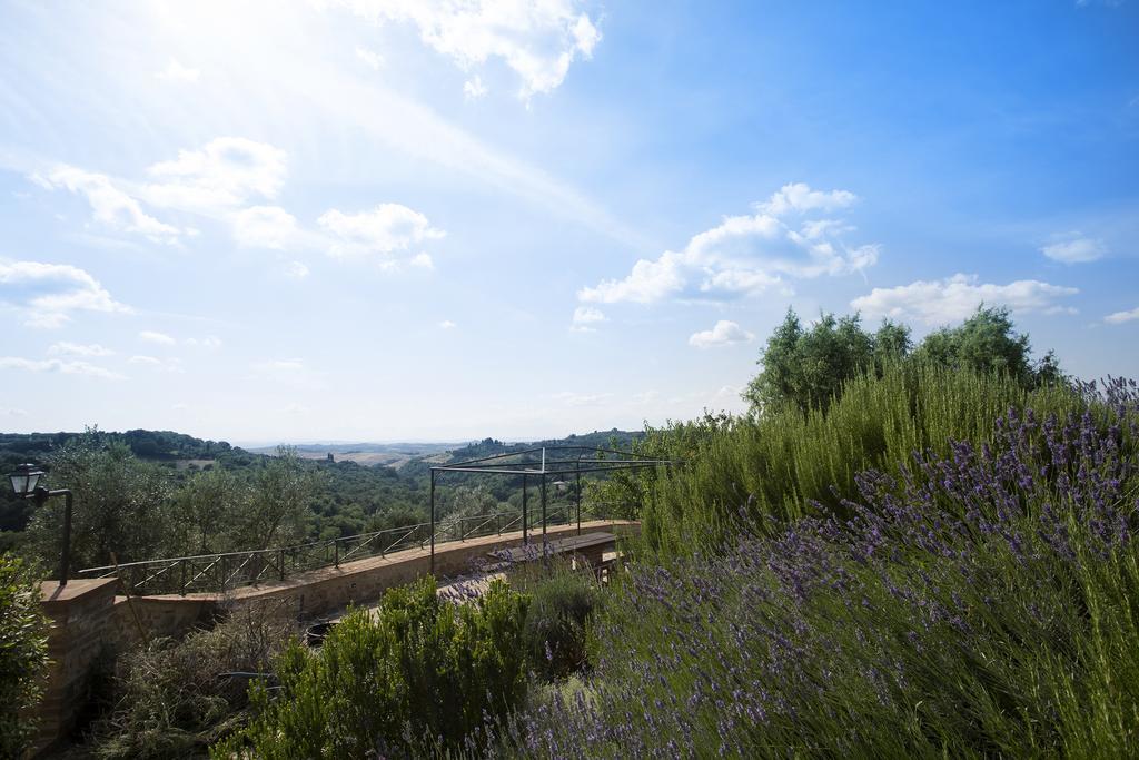 Casa Sandro A Podere Pascianella Villa Castelmuzio Szoba fotó