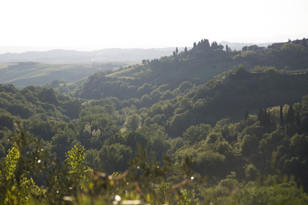 Casa Sandro A Podere Pascianella Villa Castelmuzio Kültér fotó